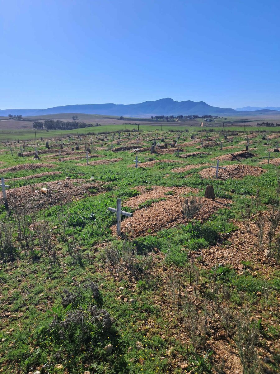 1. Oorsig / Overview