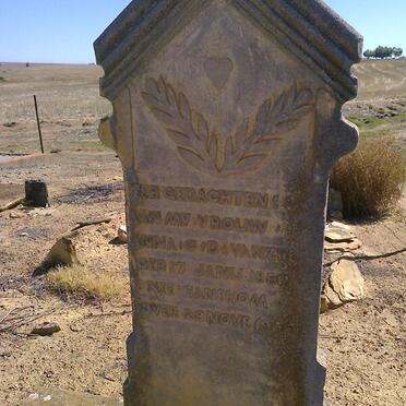 HANEKOM Anna C.D. nee VAN ZYL 1890-1926