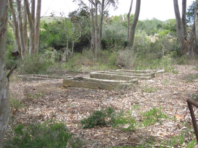 2. Overview of graves on the farm Baakfontein, Albertina