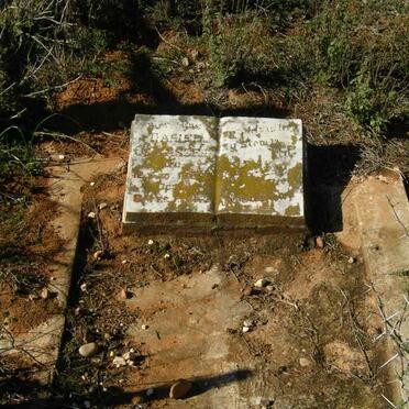 Western Cape, MOSSEL BAY district, Herbertsdale, Outeniquas Drift 197 farm, farm cemetery_3