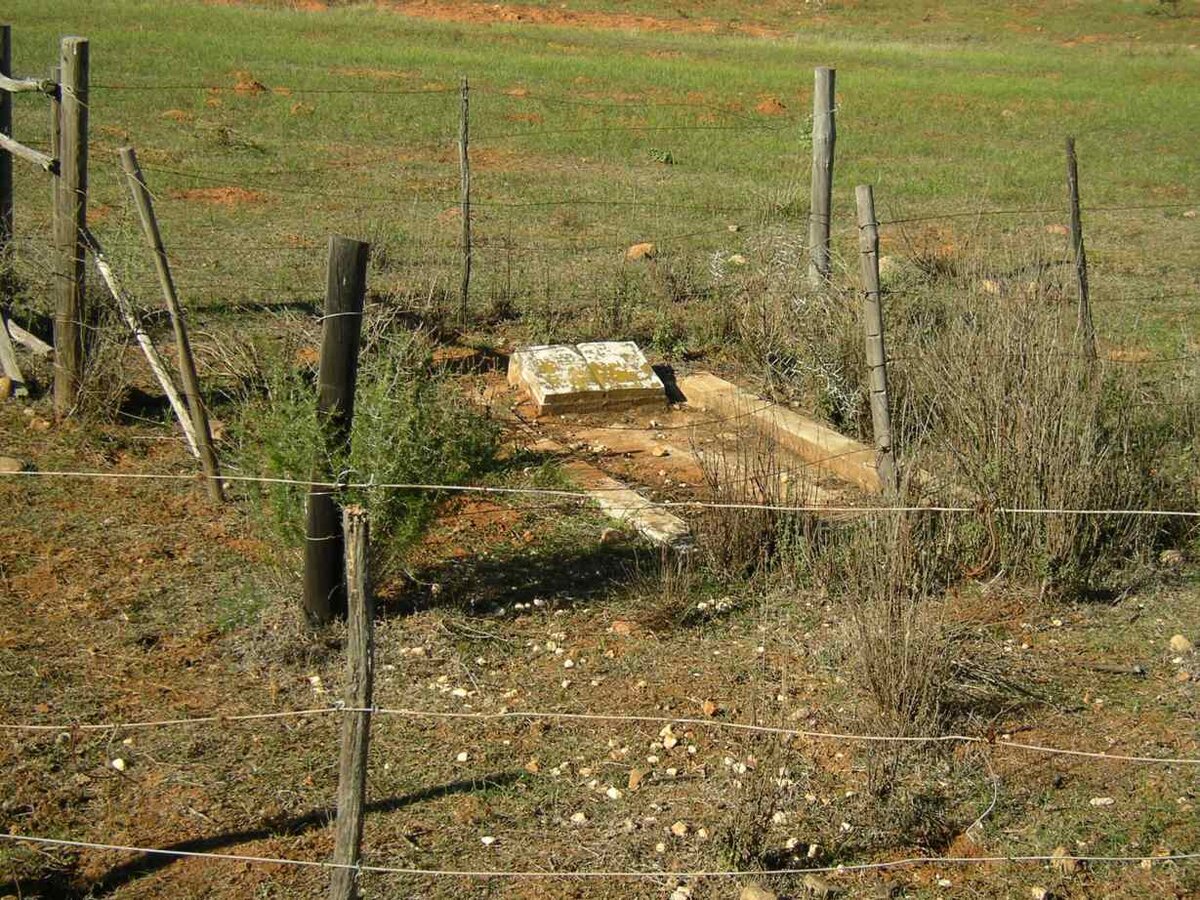 1. Overview on cemetery