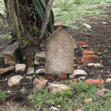 CLAASSEN Nicolaas 1865-1913