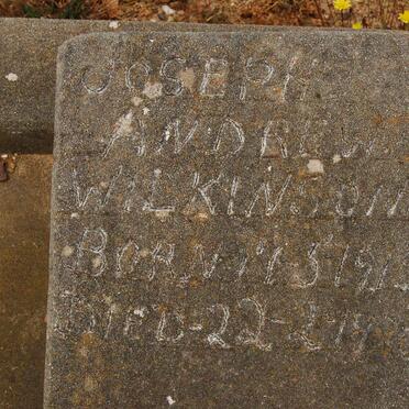 WILKINSON Joseph Andrew 1915-19?6