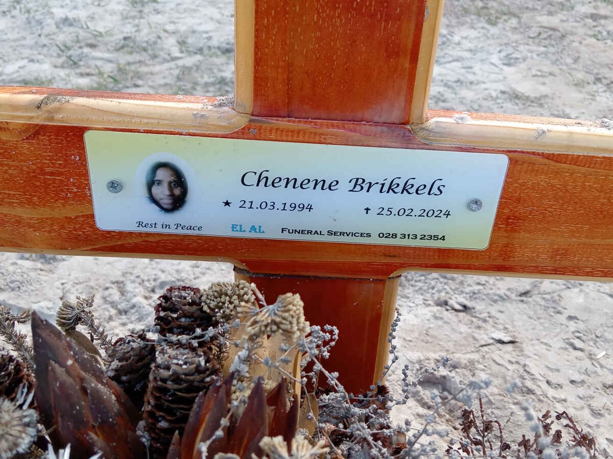 BRIKKELS Chenene 1994-2024