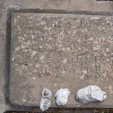 ANTWERPEN Johannes Jacobus Cornelis, van 1881-1959