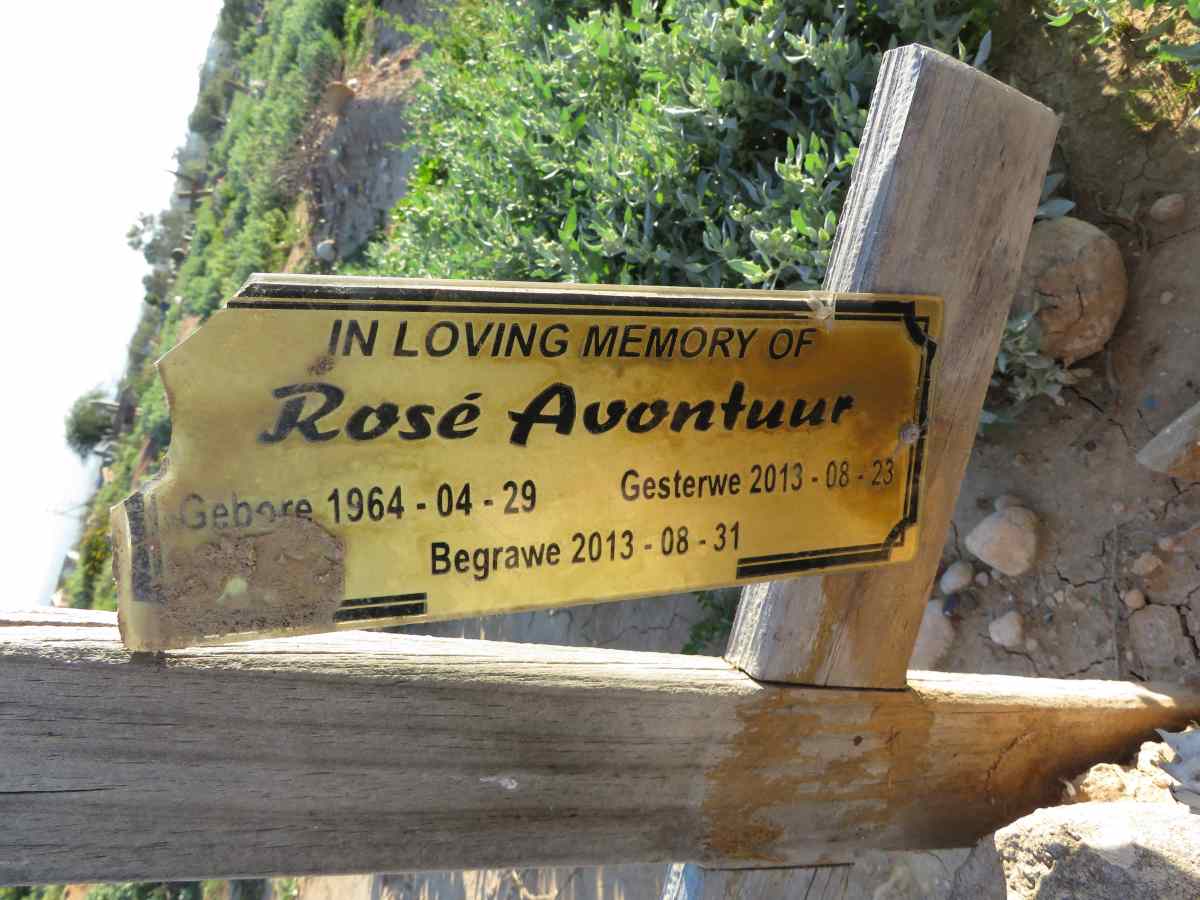 AVONTUUR Rose 1964-2013