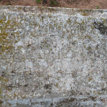 C - Surnames :: Vanne - C