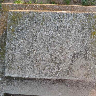 DAMONS Willem 19??-1987