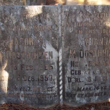 OOSTHUIZEN Jacobus J. 1885-1957 &amp; Johanna M. TERBLANCHE 1888-1944
