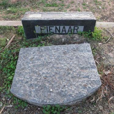 PIENAAR