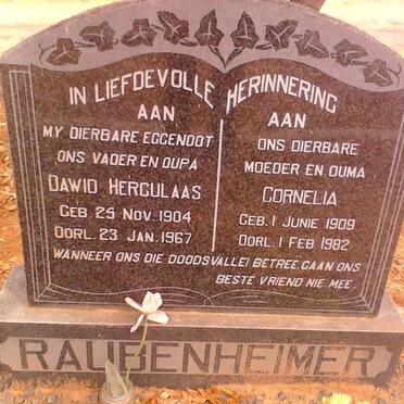 RAUDENHEIMER David Herculaas 1904-1967 &amp; Cornelia 1909-1982