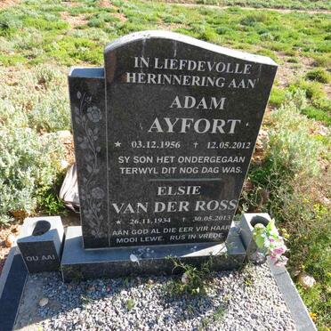 ROSS Elsie, van der 1934-2013 :: AYFORT  Adam 1956-2012
