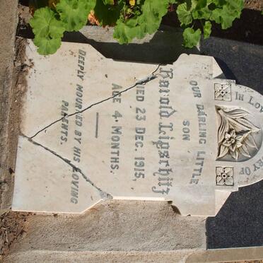 LIPSCHITZ Harold  -1915 