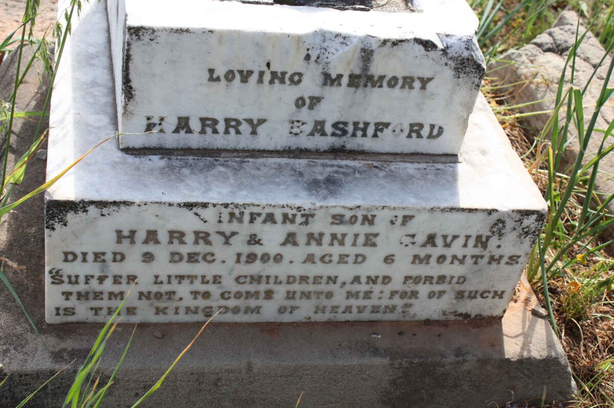 GAVIN Harry Bashford -1900