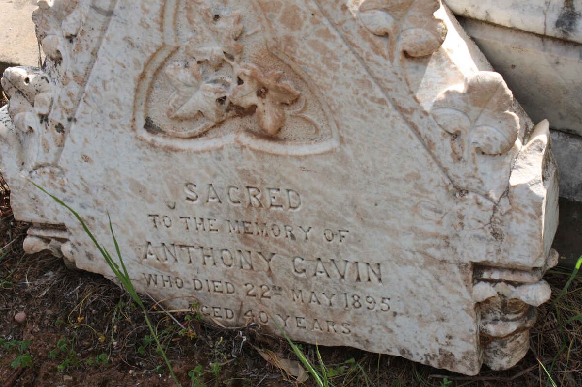 GAVIN Anthony -1895