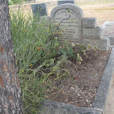 ADLEY Sidney Herbert 1862-1944 &amp; Mildred Catherine Eveline ANDERSON 1871-1948