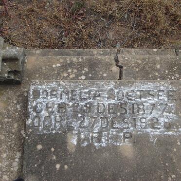 COETSEE Cornelia 1877-1928