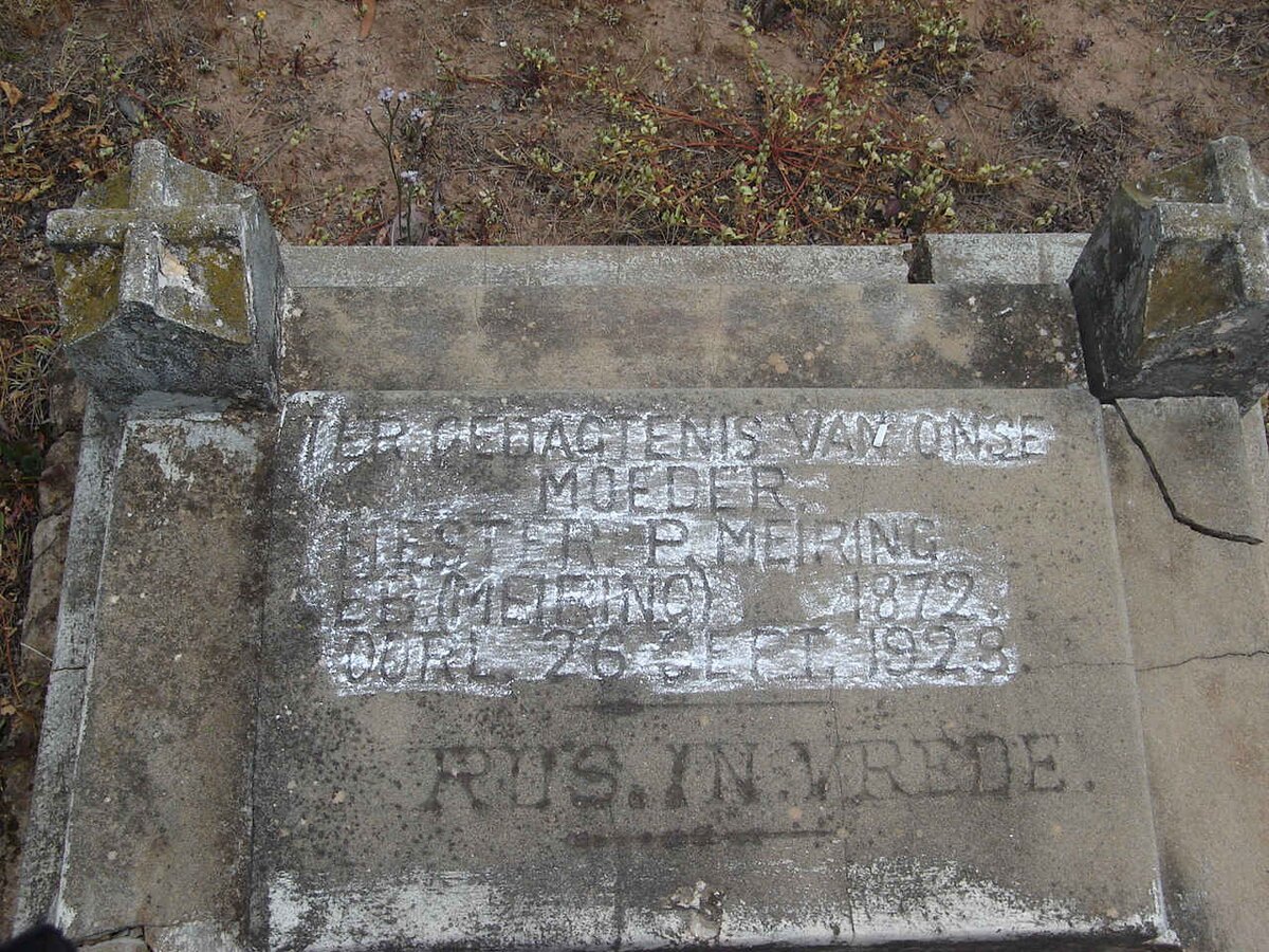 MEIRING Hester P. nee MEIRING 1872-1928