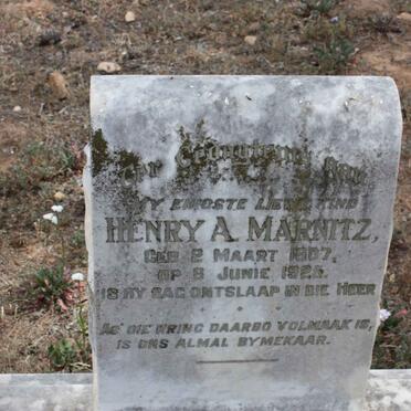 MARNITZ Henry A. 1907-1925