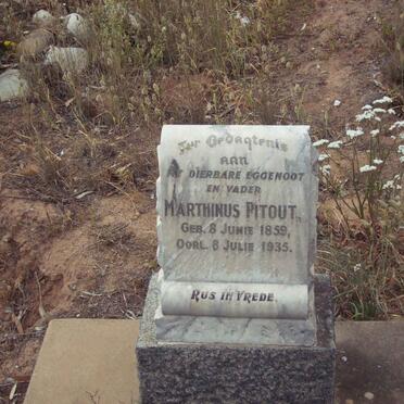 PITOUT Marthinus 1859-1935