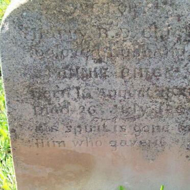 ? Harry B.D. &amp; Annie