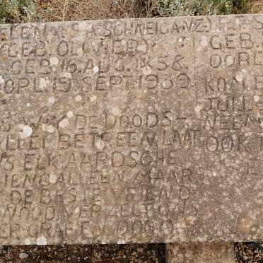 SCHNEIGANZ F.T. 1853-1928 &amp; Helena S.A. OLIVIER 1858-1939 