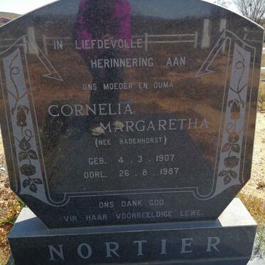 Western Cape, OUDTSHOORN district, Roodeheuvel 141_3, Die Bult, farm cemetery