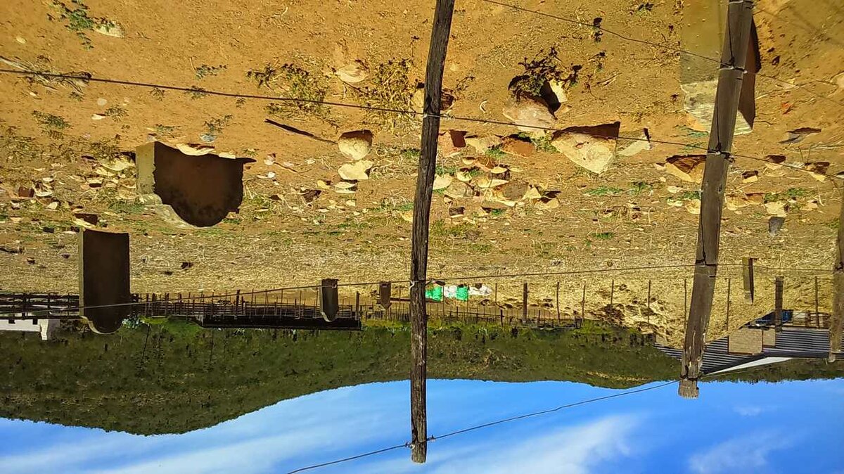 2. Overview / Oorsig