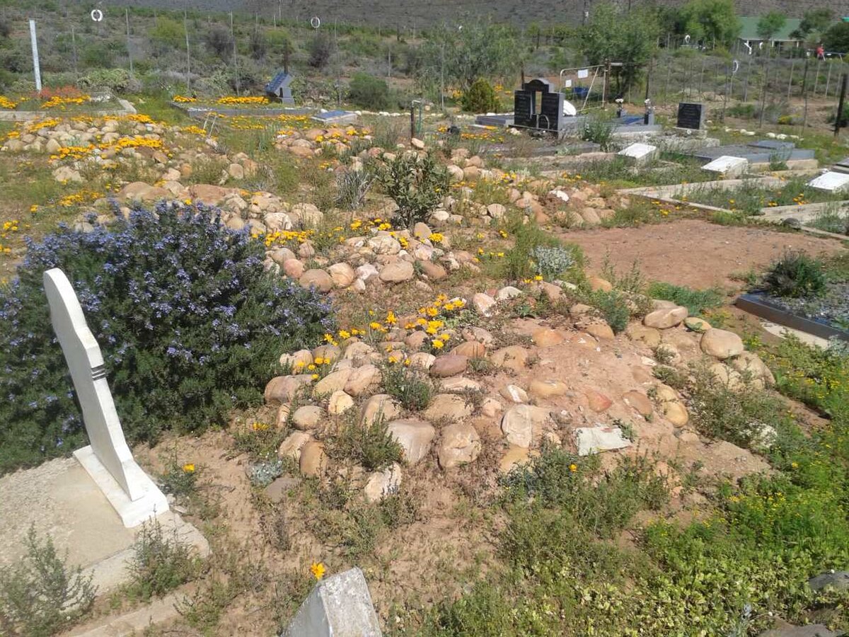 2. Overview / Oorsig