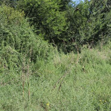 2. Overview / Oorsig