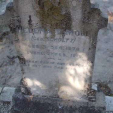 MOLL Helena T. nee SCHOLTZ 1879-1918