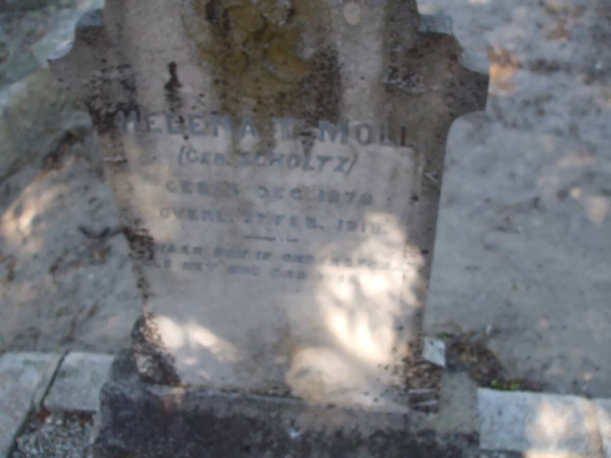 MOLL Helena T. nee SCHOLTZ 1879-1918