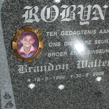 ROBYN Brandon Walter 1999-2009