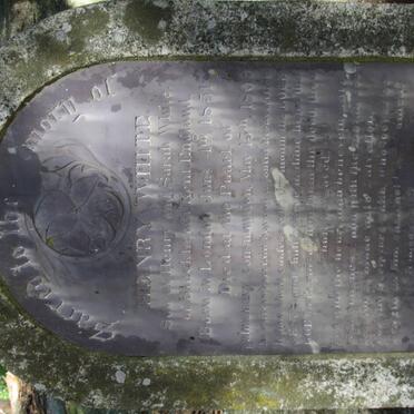 WHITE H?d?nry 1851-1909