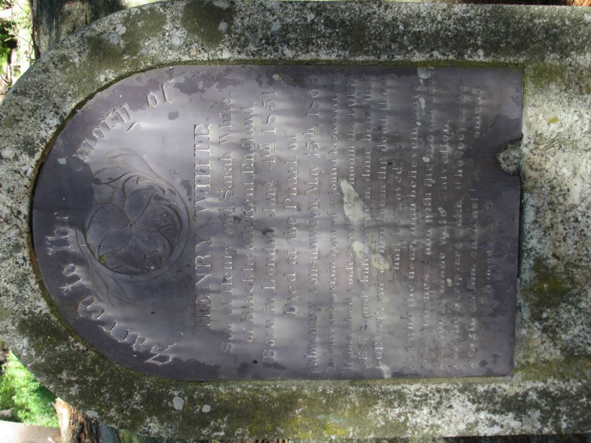 WHITE H?d?nry 1851-1909