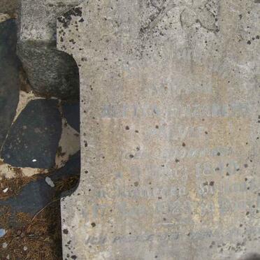 PALVIE Aletta Elizabeth nee LOOMANS 18?0-1923