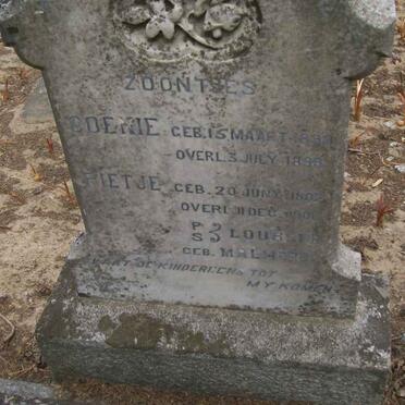 LOUBSER Coenie 1893-1895 :: LOUBSER Pietje 1902-1908