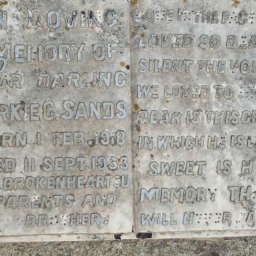 SANDS Jacob Henry 1884-1946 :: SANDS Dirkie C. 1918-1933