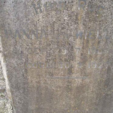 WIELLIGH Hanna, von 1903-1925