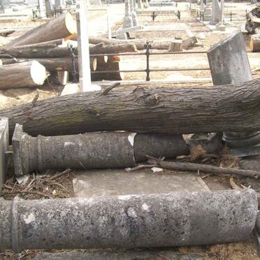 Fallen trees, destroying stones