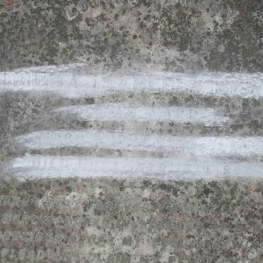 BESTER Louisa Isabella nee WARD 1864-1894