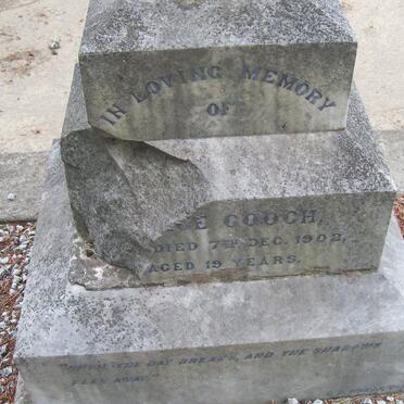 G - Surnames :: Vanne - G