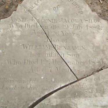 SHAW Annie Eugenie Jacoba -1882 :: SHAW William Benjamin -1880