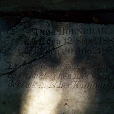 BORNBRAK Amoz 1881-1882