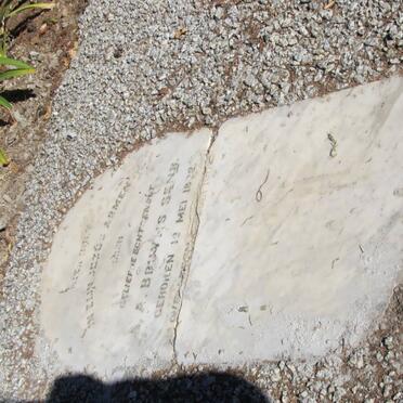 BRUYNS A.A. 1822-1902