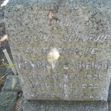 HEINE Hendrik J. 1921-1922