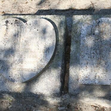 HAUPTFLEISCH Alida -1914 :: HAUPTFLEISCH Francois N.J. 1864-19?7