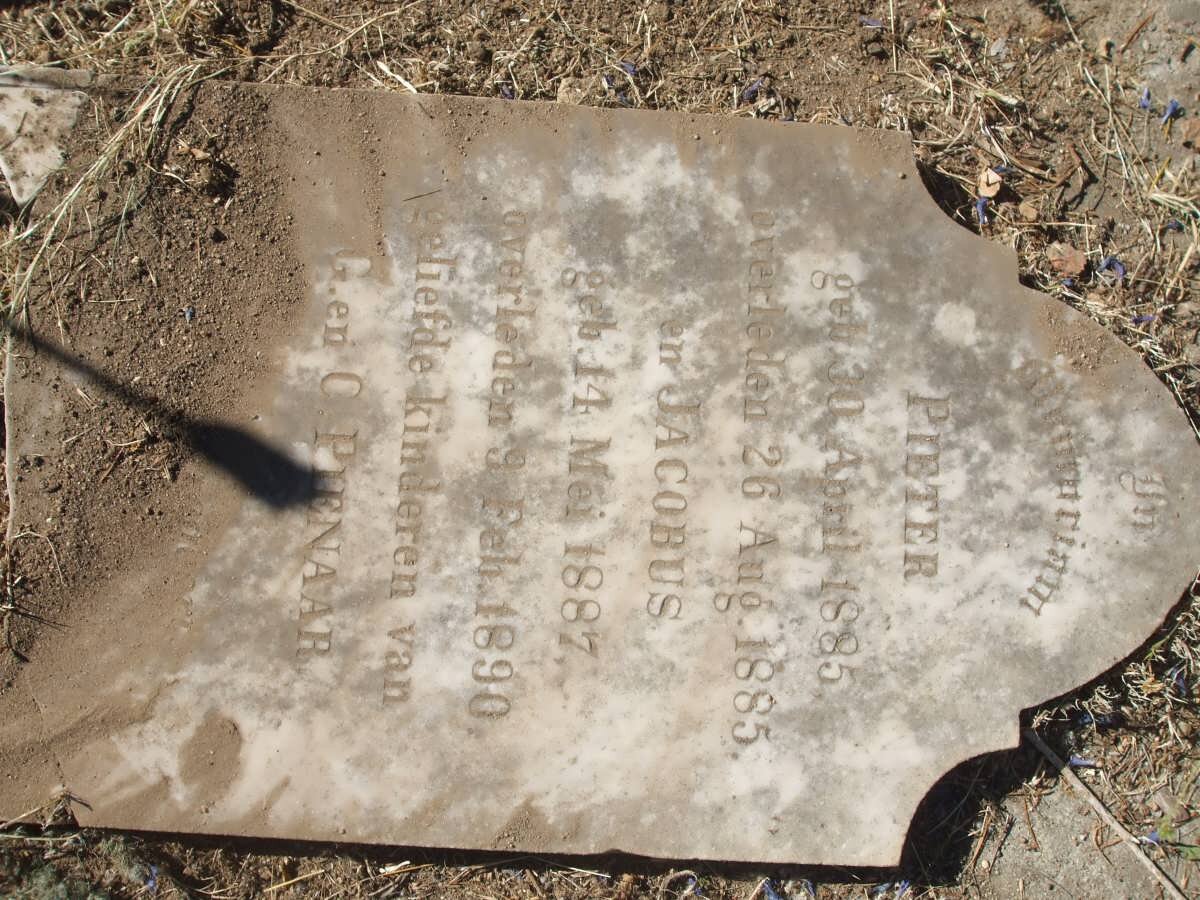 PIENAAR Pieter 1885-1885 :: PIENAAR Jacobus 1887-1890