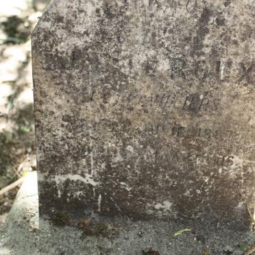 ROUX ?, le nee DE VILLIERS 1887-1916