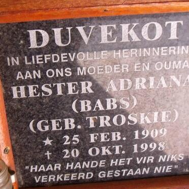 Du - Surnames starting with the letters Du